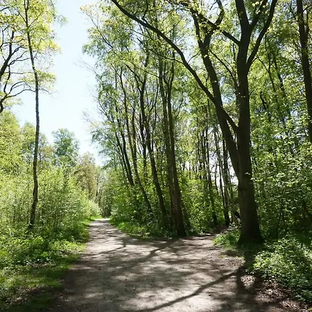 Baltic Plaza Medi Otel 4*